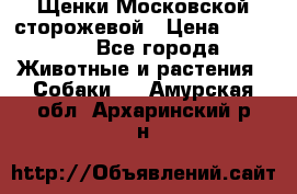 Щенки Московской сторожевой › Цена ­ 35 000 - Все города Животные и растения » Собаки   . Амурская обл.,Архаринский р-н